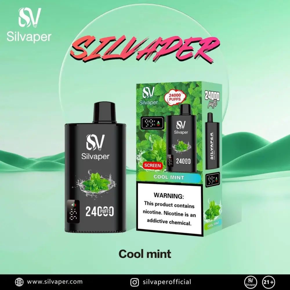 Silvaper 24K Disposable Vape Dubai